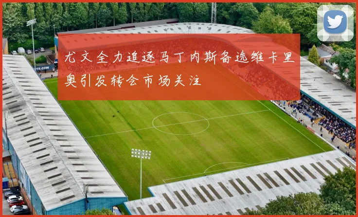 尤文全力追逐马丁内斯备选维卡里奥引发转会市场关注