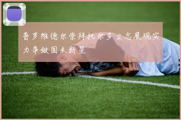 普罗维德尔崇拜托尔多立志展现实力争做国米新星